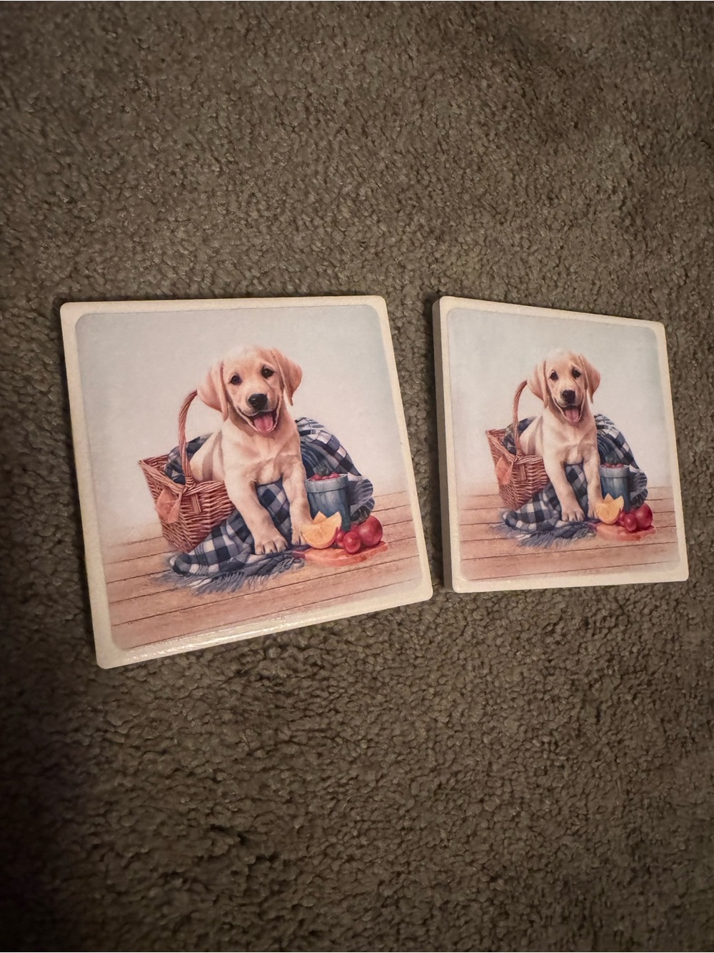 Cute Puppy Ceramic Coasters - Set of 2 - Neutral Tones